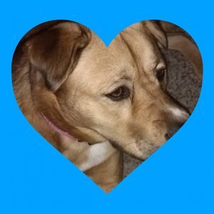 Meet your Posher, Barb